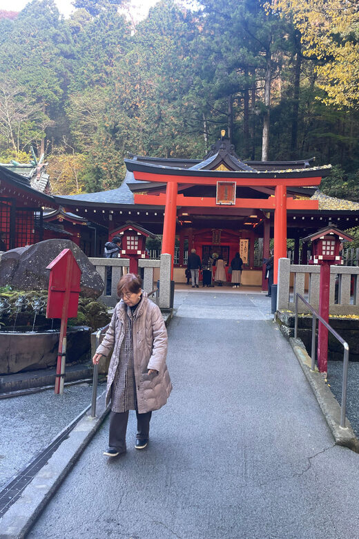 From Tokyo: Hakone Full Day Customizable Private Tour - FAQ