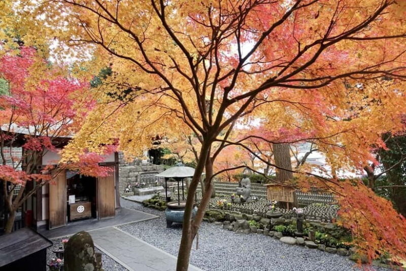 From Tokyo: Kamakura and Enoshima 1-Day Bus Tour - FAQ