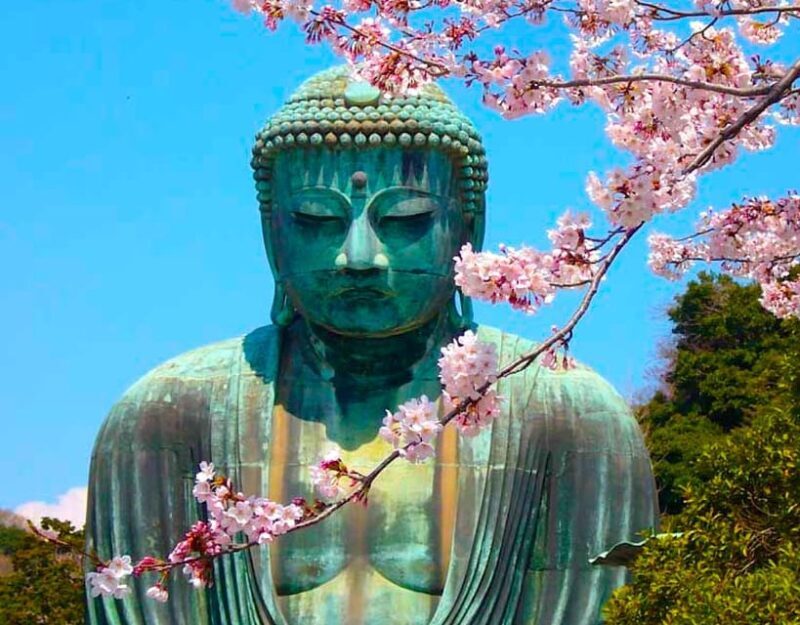 From Tokyo: Kamakura and Enoshima Full-Day Private Trip - The Sum Up