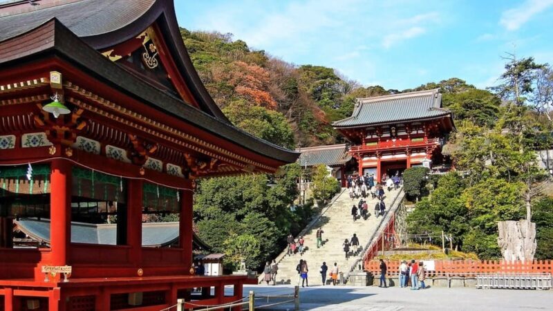 From Tokyo: Kamakura Full Day Tour with a Local Expert Guide - What the Tour Includes and Excludes