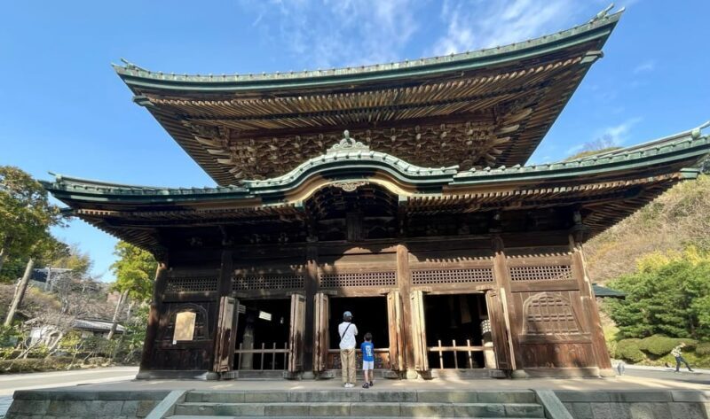 From Tokyo: Kamakura Full Day Tour with a Local Expert Guide - Who Should Consider This Tour?