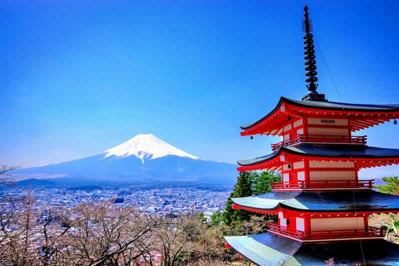 From Tokyo: Mount Fuji and Hakone Private Day Trip - From Tokyo: Mount Fuji and Hakone Private Day Trip