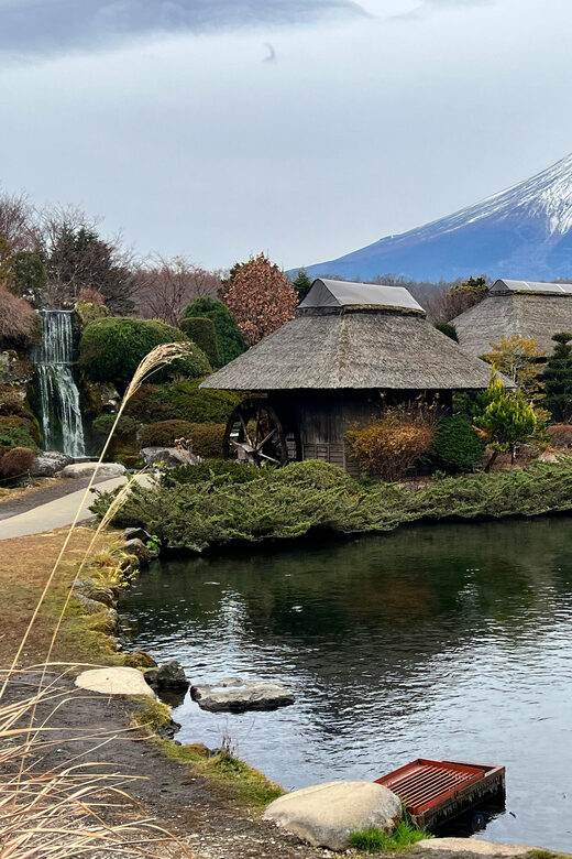 From Tokyo: Mount Fuji and Hakone Private Day Trip - Real Travelers Perspectives