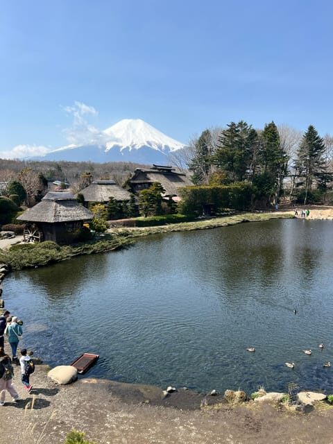 From Tokyo: Mount Fuji and Hakone Private Day Trip - Final Thoughts