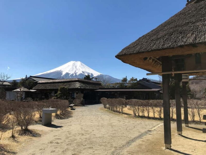 From Tokyo: Mount Fuji And Hakone Private Full Day Trip - Exploring the Details: What to Expect on This Private Full-Day Trip