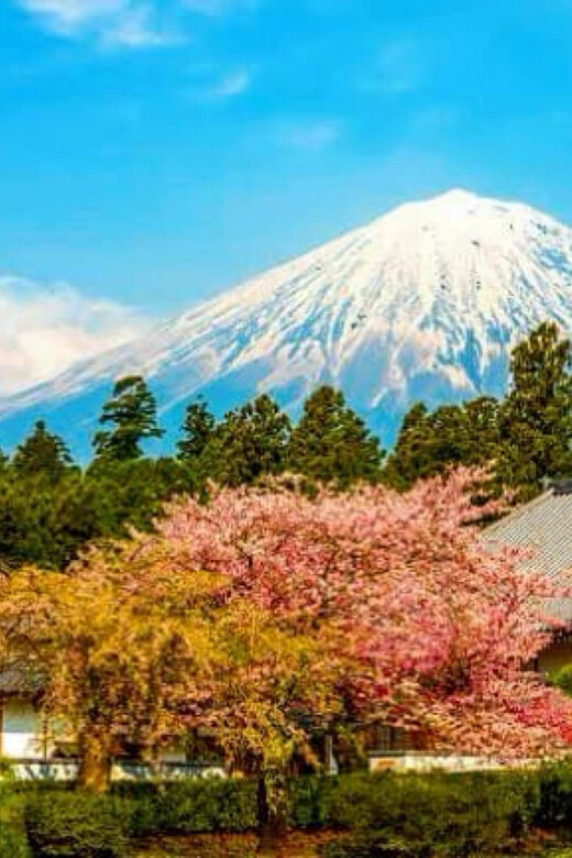 From Tokyo: Mount Fuji And Hakone Private Full Day Trip - Practical Details and Considerations
