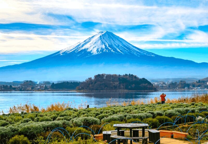 From Tokyo: Mount Fuji Full Day Customizable Private Tour - What We Love About This Tour