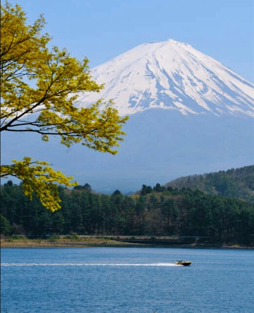 From Tokyo: Mount Fuji Full Day Customizable Private Tour - Final Thoughts
