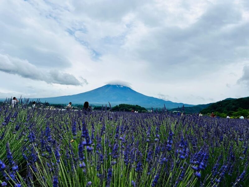 From Tokyo: Mount Fuji Full Day Customizable Private Tour - The Value and Experience
