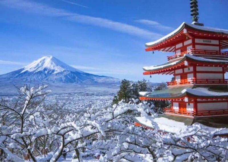 From Tokyo: Mount Fuji Full Day Customizable Private Tour - Final Thoughts: Is It Worth It?