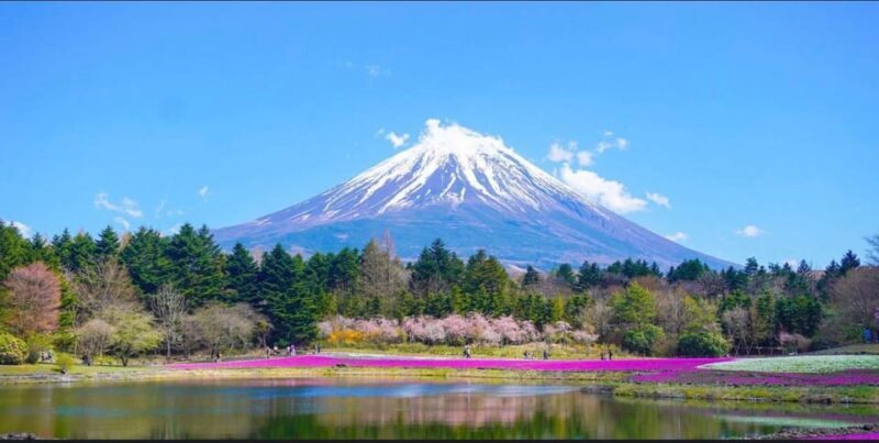 From Tokyo: Mount Fuji Full Day Customizable Private Tour - FAQ