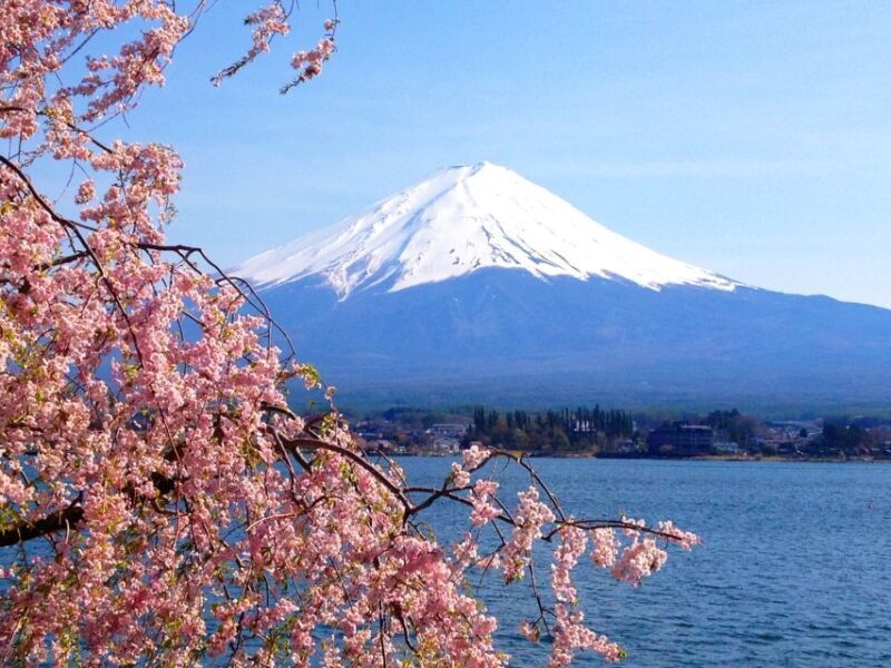 From Tokyo: Mount Fuji Full-Day Customizable Private Tour - Who Would This Tour Suit Best?