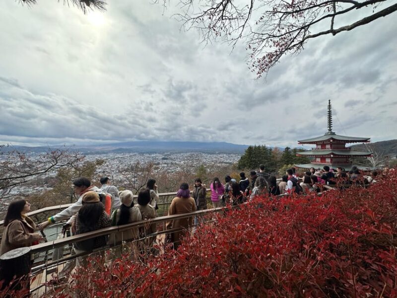 From Tokyo: Mount Fuji Full-Day Customizable Private Tour - FAQ