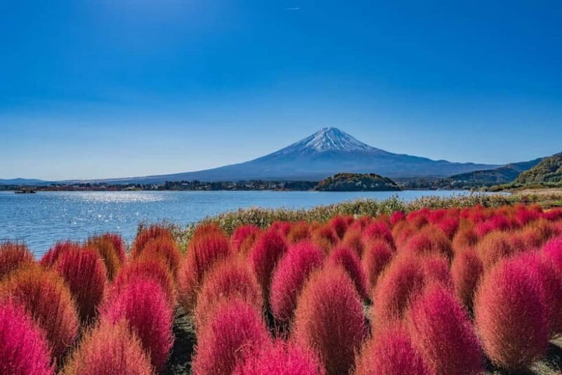 From Tokyo: Mount Fuji Full Day Private Customizable Tour - Key Points