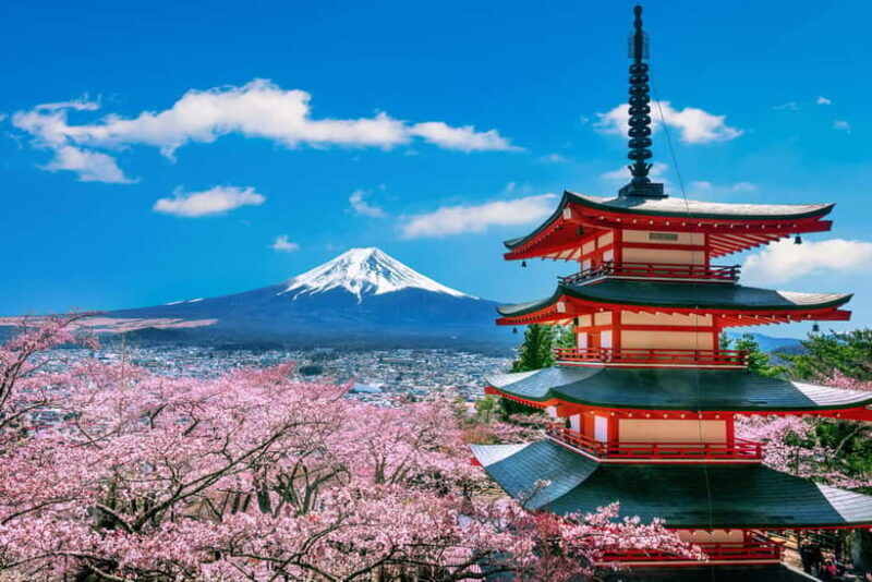 From Tokyo: Mount Fuji Full Day Private Customizable Tour - Exploring the Route and Its Highlights