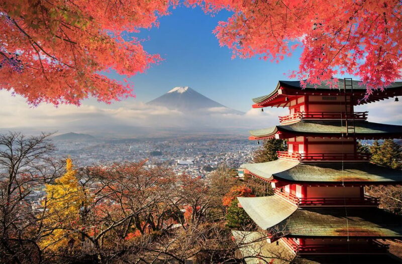 From Tokyo: Mount Fuji Full Day Private Tour English Guide - Key Points
