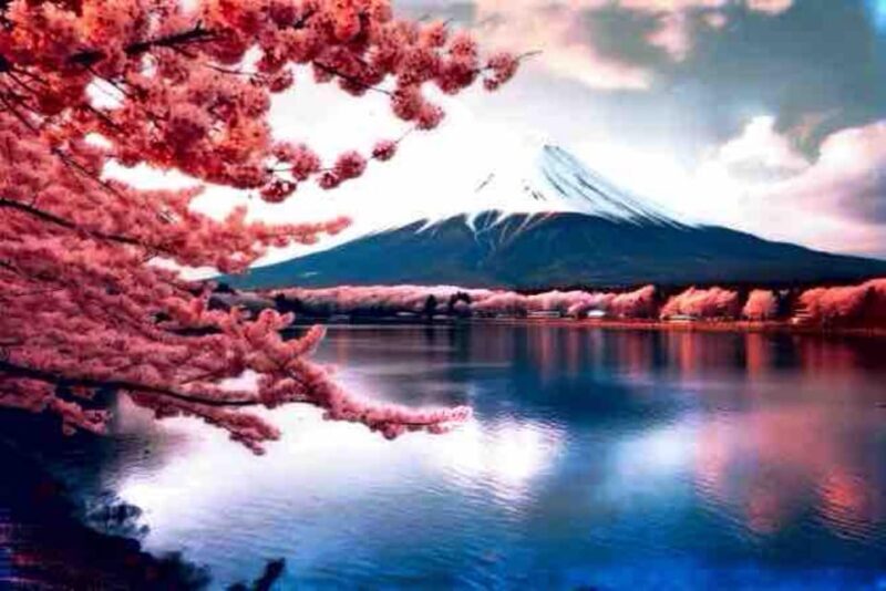 From Tokyo: Mount Fuji Full Day Private Tour English Guide - Exploring the Details: What You Can Expect on This Tour
