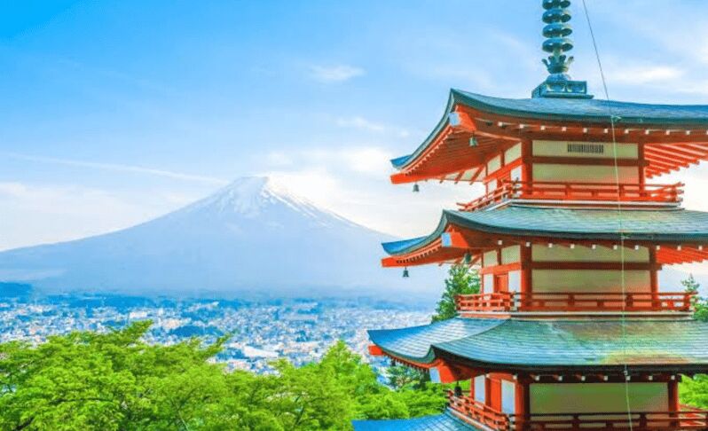 From Tokyo: Mount Fuji Full Day Private Tour English Guide - FAQ