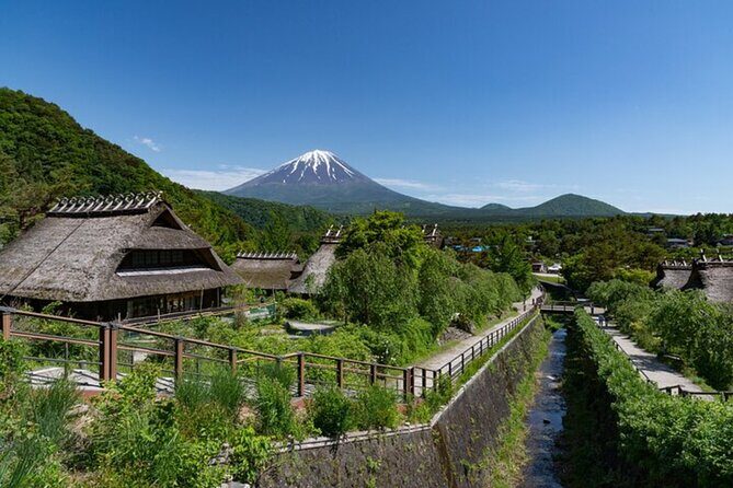 From Tokyo Mount Fuji Full Day Shared Tour - Who Should Take This Tour?