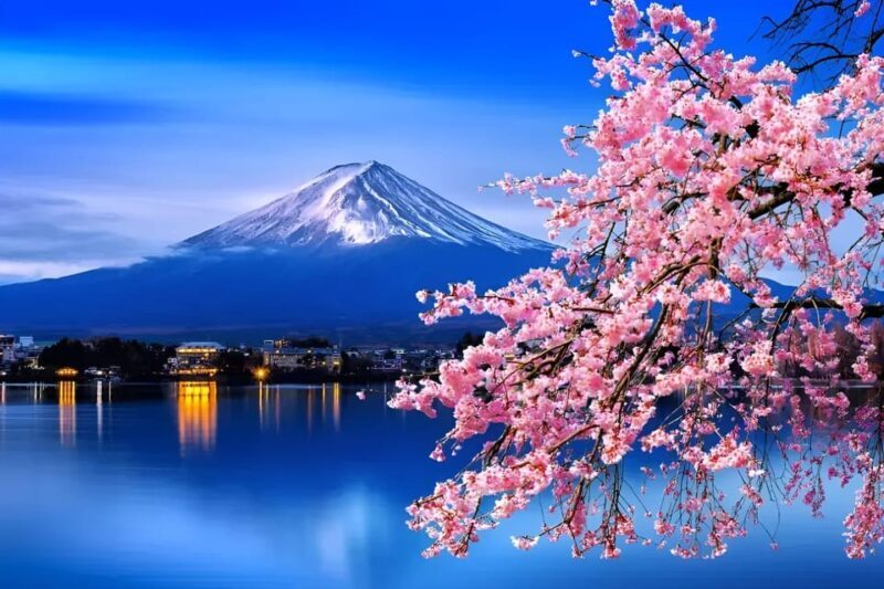 From Tokyo: Mount Fuji & Hakone Full Day Private Tour - Key Points