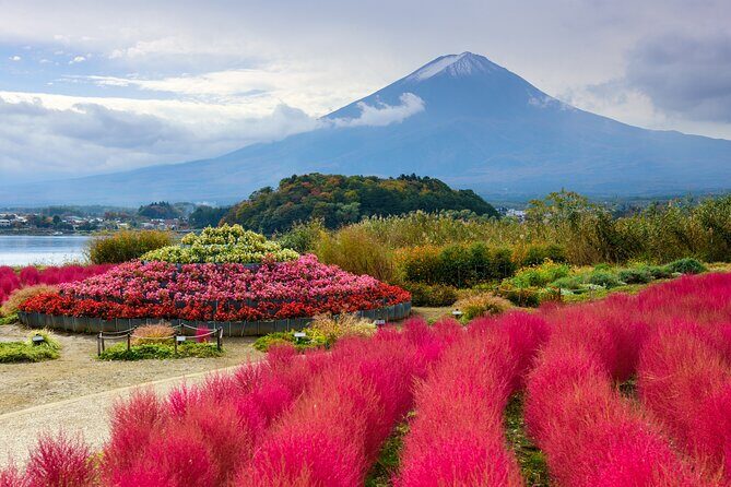 From Tokyo: Mount Fuji Highlights Tour with Kawaguchi Lake Cruise - An In-Depth Look at the Mount Fuji Highlights Tour