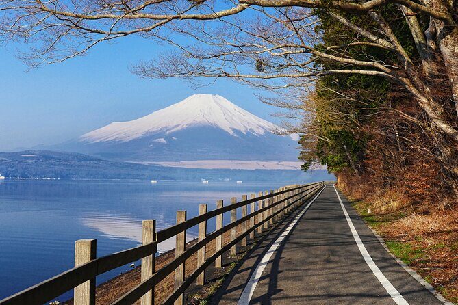 From Tokyo: Mount Fuji Highlights Tour with Kawaguchi Lake Cruise - Final Thoughts