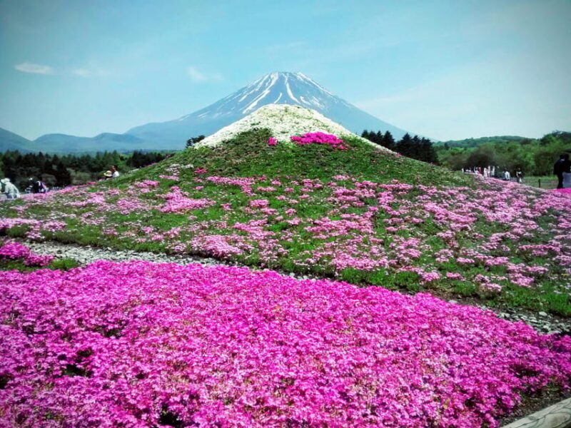 From Tokyo: Mount Fuji Instagram Spots 1-Day Private Tour - Key Points
