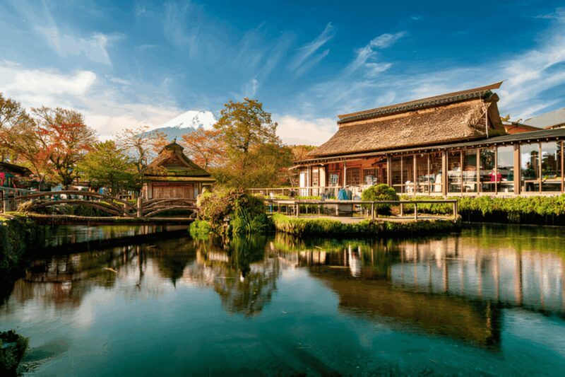 From Tokyo: Mount Fuji or Hakone Customized Day Trip - Transportation, Timing, and Practical Details