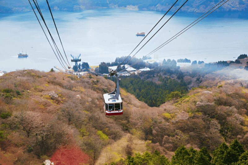 From Tokyo: Mount Fuji or Hakone Customized Day Trip - FAQ