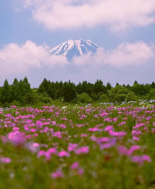 From Tokyo: Mount Fuji Private Day Tour Fully Customizable - Exploring the Details of the Mount Fuji Private Day Tour
