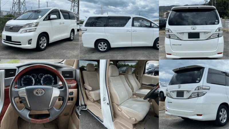 From Tokyo : Mount Fuji Private Day Tour with English Driver - Who Will Love This Tour?