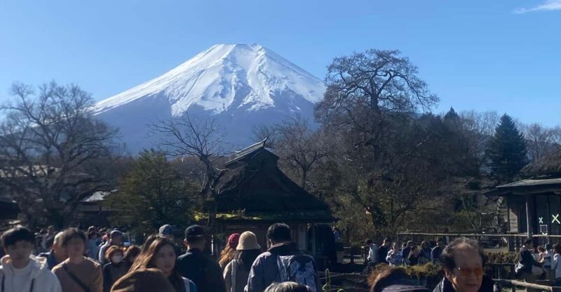 From Tokyo: Mount Fuji Private Day Trip with Pickup - The Experience in Detail: What You Can Expect