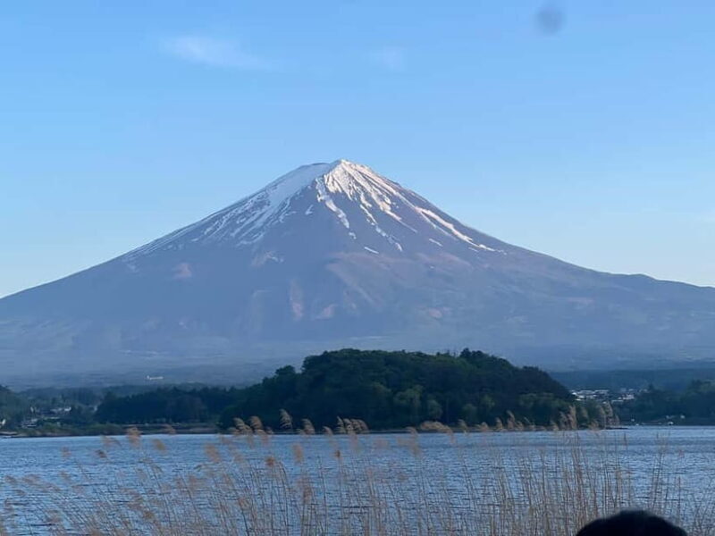 From Tokyo: Mount Fuji Private Tour with a Driver/Guide - Final Thoughts: Who Is This Tour Best For?