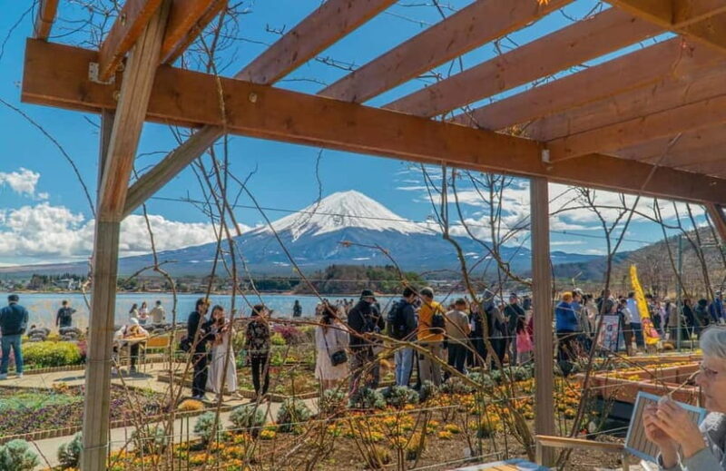 From Tokyo: Mount Fuji Private Tour with a Driver/Guide - FAQ