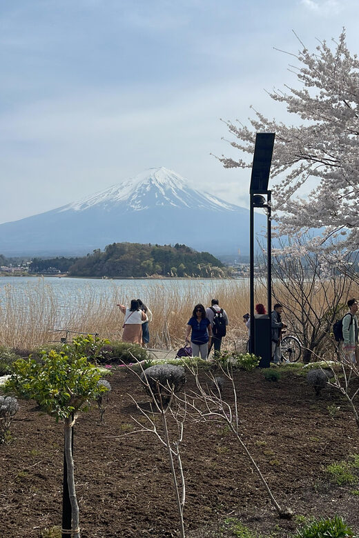 From Tokyo: Mount Fuji Private Tour With English speaking Dr - FAQ