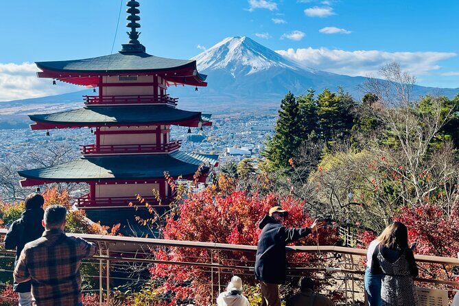 From Tokyo: Mount Fuji Private Trip with English Speaking Driver - Experience the Charm of Mount Fuji on a Private Day Trip from Tokyo