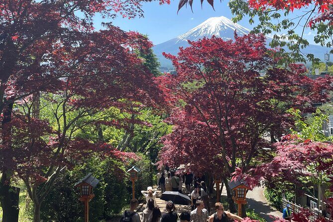 From Tokyo: Mount Fuji Private Trip with English Speaking Driver - Who Should Consider This Tour?