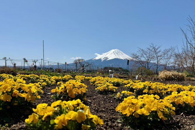 From Tokyo: Mount Fuji Private Trip with English Speaking Driver - Frequently Asked Questions