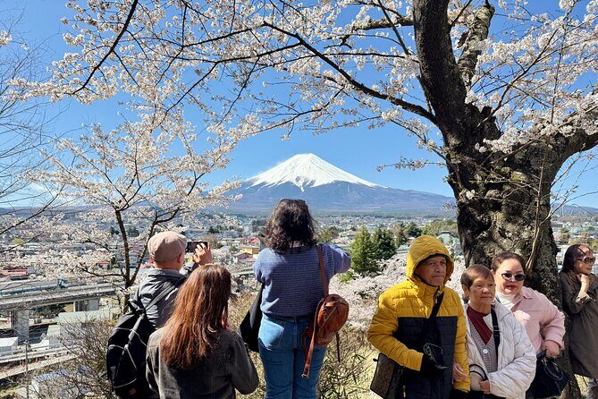 From Tokyo: Mount Fuji Private Trip with English Speaking Driver - Final Thoughts