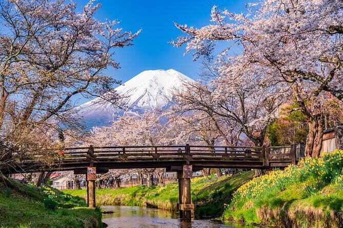 From Tokyo: Mount Fuji Sightseeing One Day Trip - From Tokyo: Mount Fuji Sightseeing One Day Trip – A Practical Guide