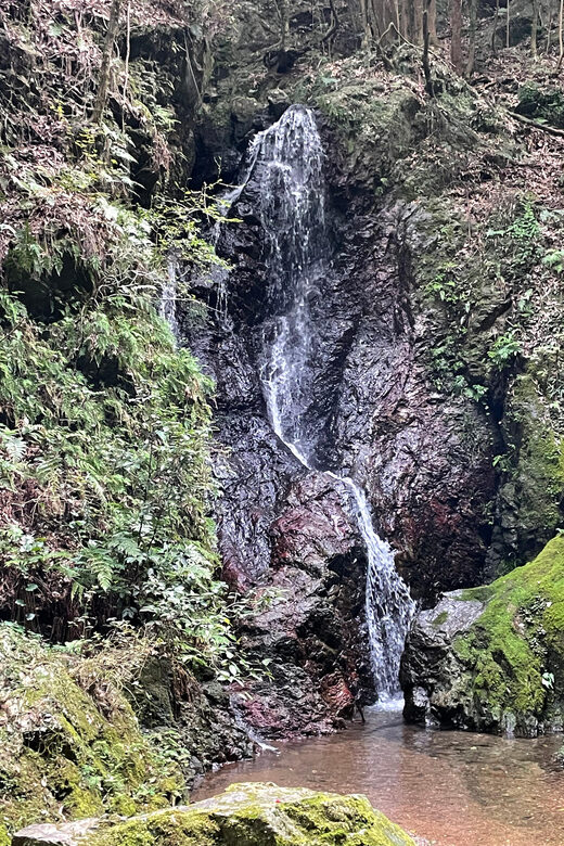 From Tokyo: Mountain Ridge Hike & Scenic Waterfall Day Tour - Key Points