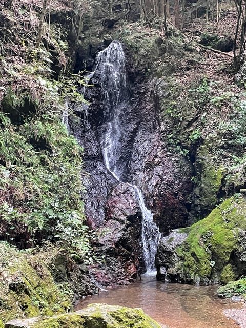 From Tokyo: Mountain Ridge Hike & Scenic Waterfall Day Tour - The Value of the Tour