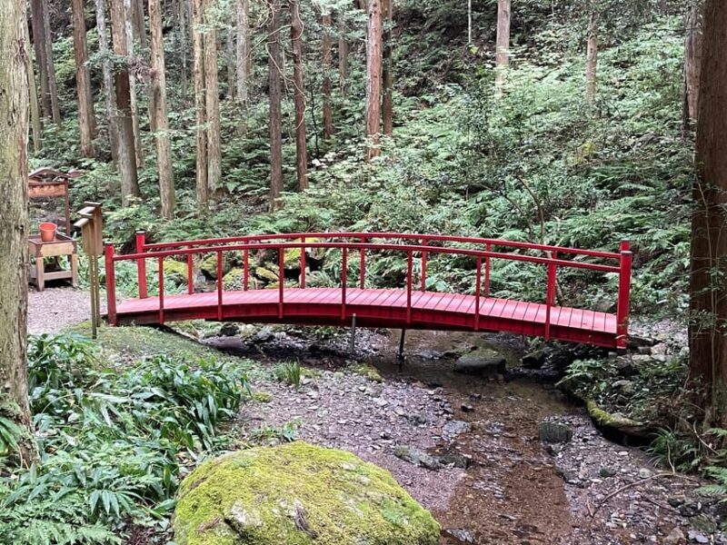 From Tokyo: Mountain Ridge Hike & Scenic Waterfall Day Tour - Who Will Love This Tour?