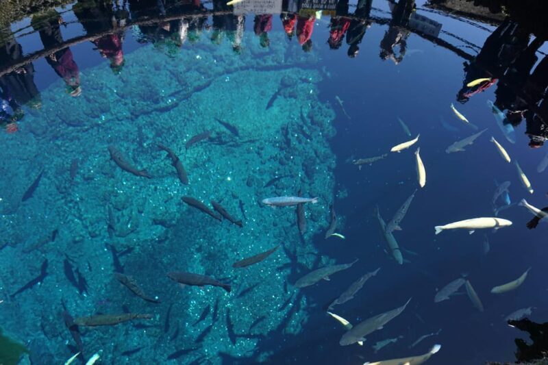 From Tokyo: Mt. Fuji And Hakone Private Sightseeing Day Trip - What’s Included and What’s Not