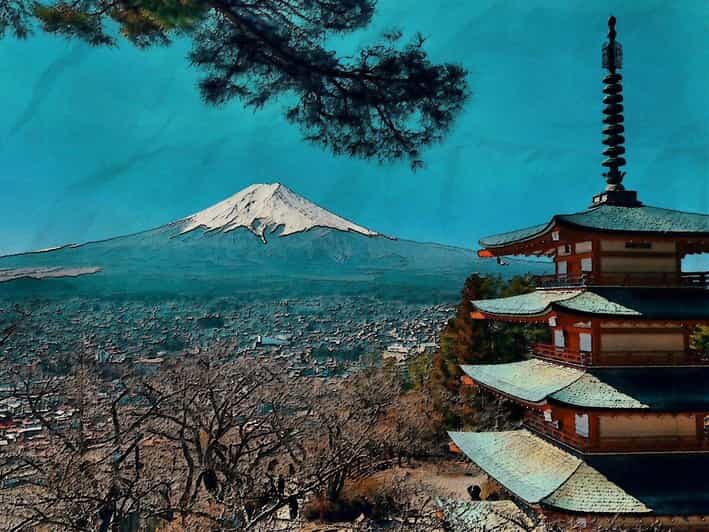 From Tokyo: Mt. Fuji And Hakone Private Sightseeing Day Trip - The Value of a Private Guided Experience