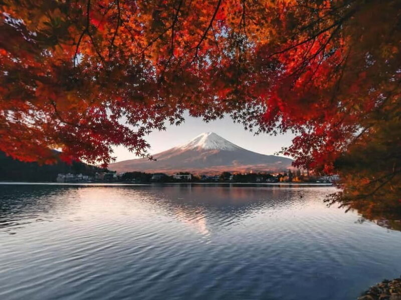 From Tokyo: Mt Fuji, Arakurayama and Kawaguchi Lake Day Trip - Who Will Love This Tour?