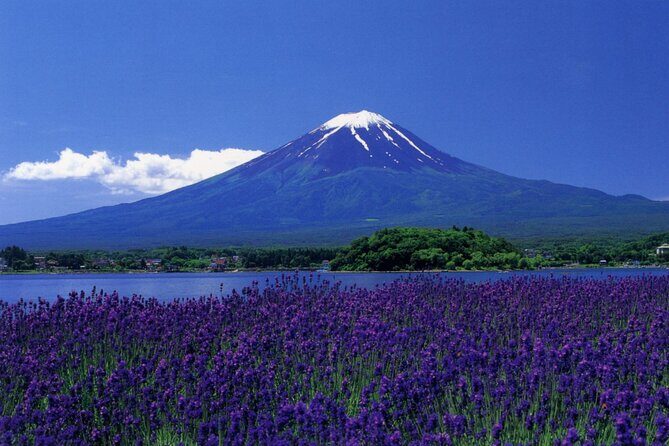From Tokyo: Mt Fuji Full Day Private Tour - Exploring the Tour in Detail: What to Expect