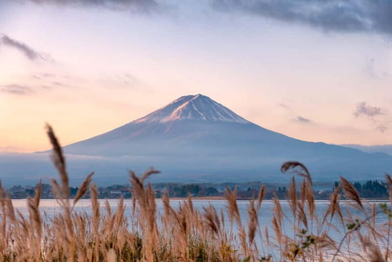 From Tokyo: Mt.Fuji & Gotemba Private Customizable Day Trip. - Key Points