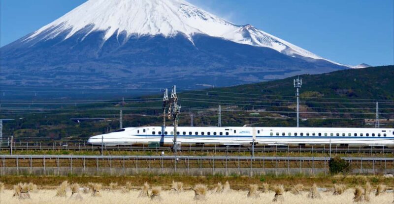 From Tokyo: Mt. Fuji & Hakone Tour w/ Return by Bullet Train - Key Points