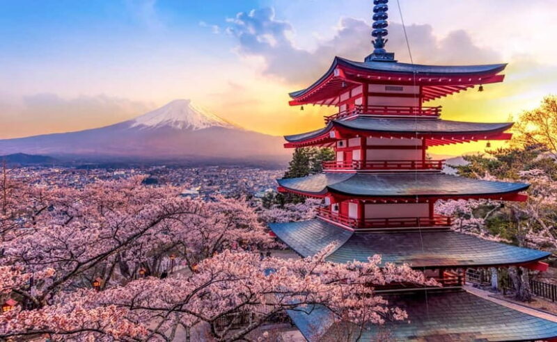 From Tokyo: Mt Fuji & Kawaguchi Lake private day trip - Who Will Love This Tour?